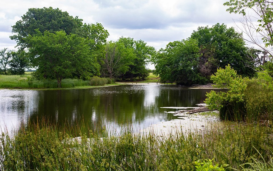 Peaceful RV sites surrounded by trees at Queen & Duke RV Resort in Whitesboro, Texas