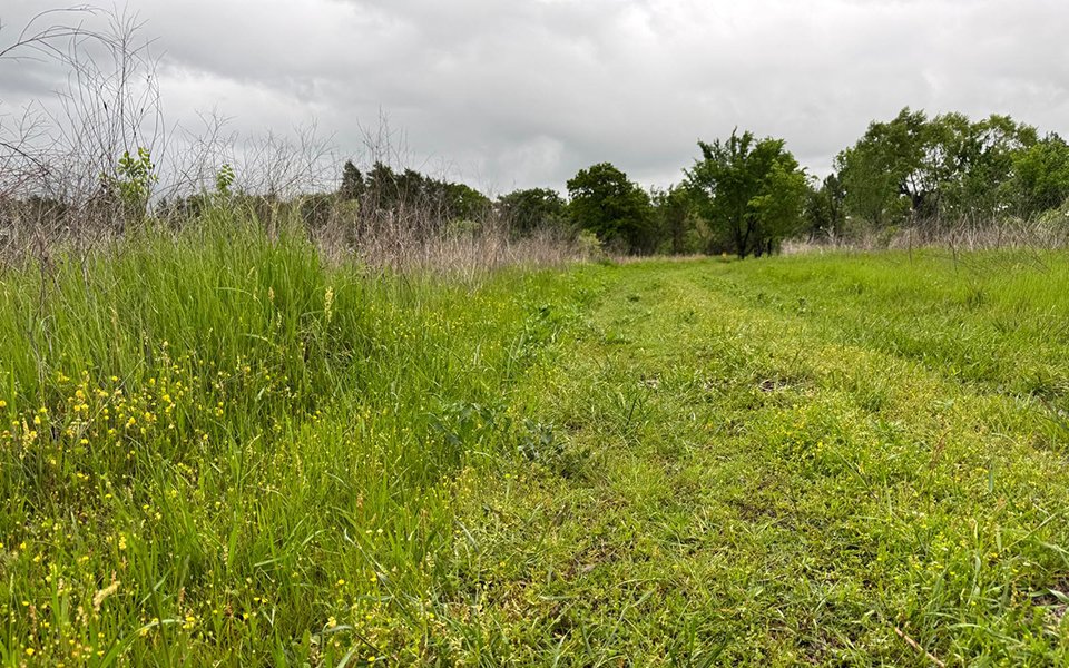Peaceful RV sites surrounded by trees at Queen & Duke RV Resort in Whitesboro, Texas